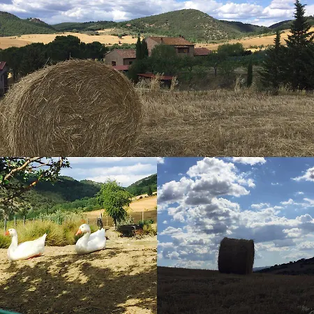 Farm stay Santa Maria