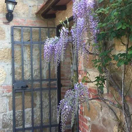 Santa Maria * Pienza